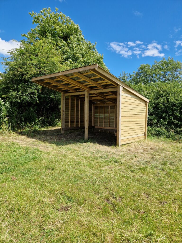 Contributing to a new shelter in Pockett's orchard