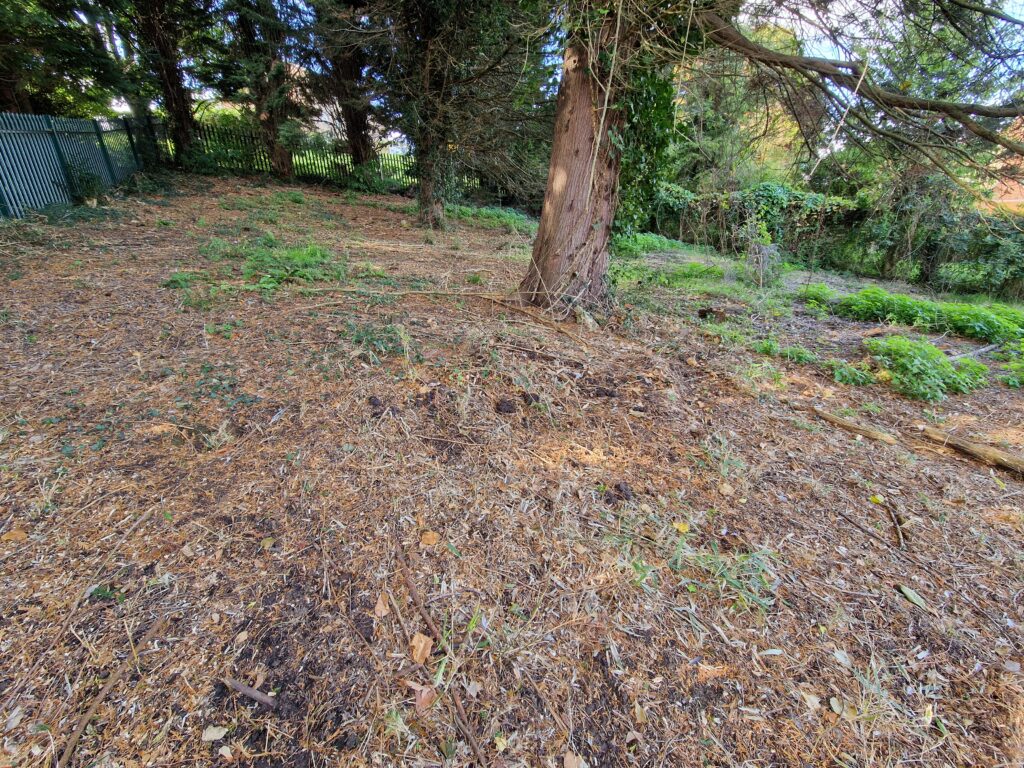 Plot for sale: Cam - Gloucestershire. West half of plot