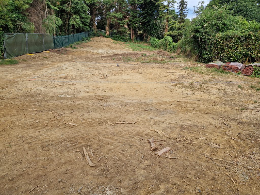 Looking West from bottom of the plot