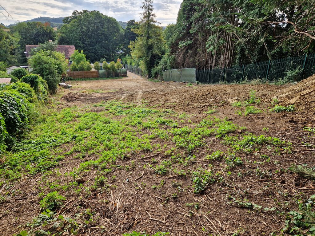 Looking East from top of the plot