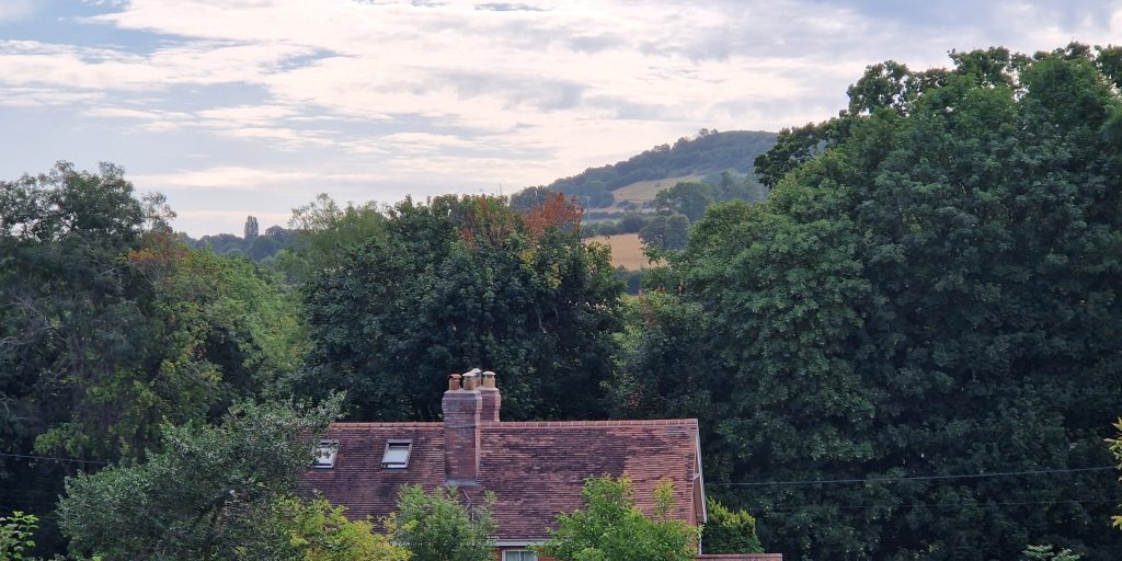 View of the hills from top of the plot
